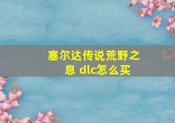 塞尔达传说荒野之息 dlc怎么买